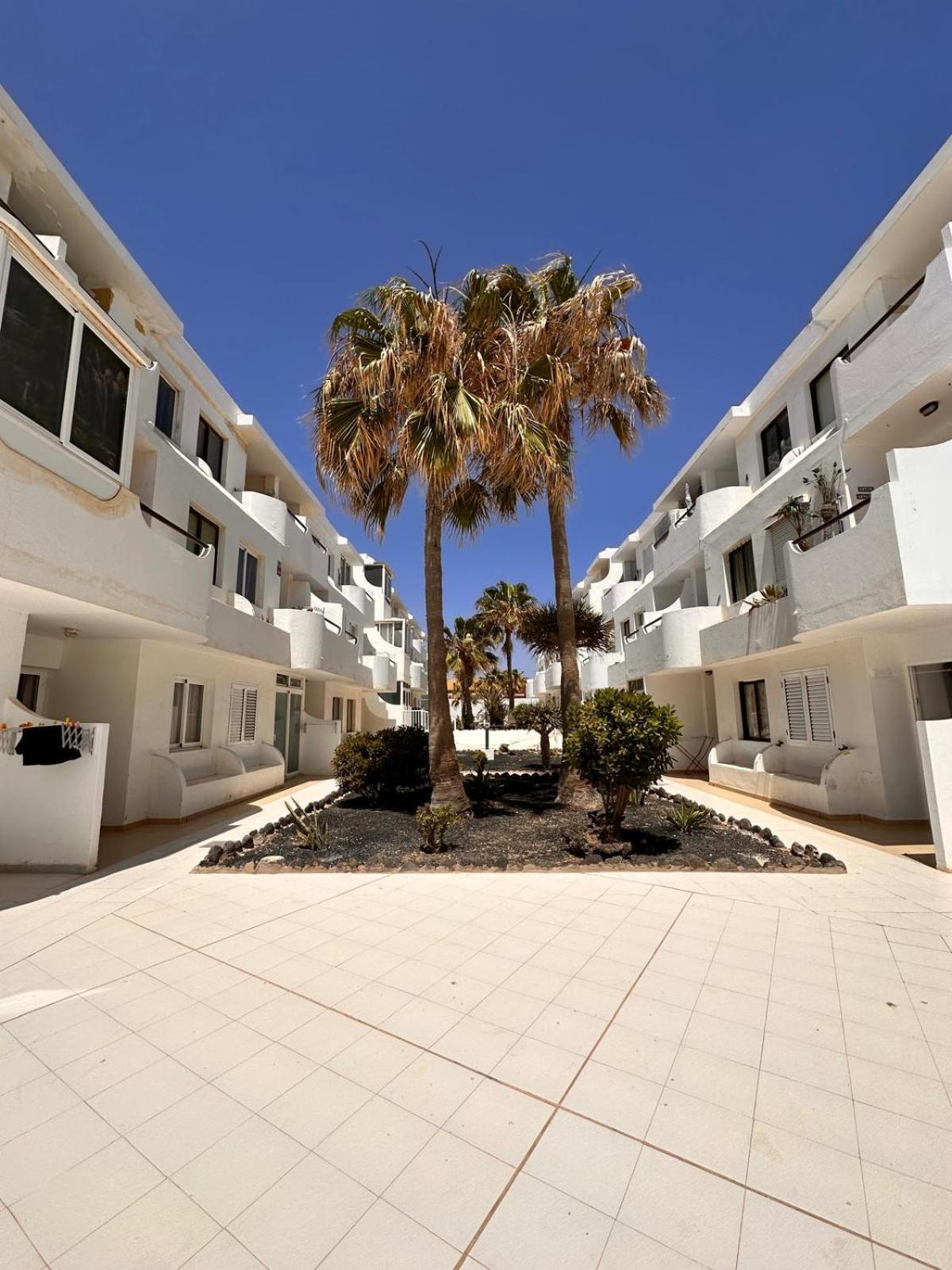 Casa Isabel Apartment Коста де Антигуа Екстериор снимка